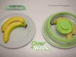 The Culinary Kit Küche & Esszimmer-Abdeckung für sofortiges Vakuumieren von Lebensmitteln – einfache Aufbewahrungslösung