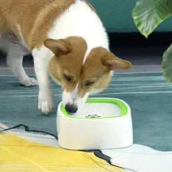 Furry Haven Haustierzubehör|Tierfütterung-Auslaufsicherer Wassernapf für Haustiere – Auslaufsicherer Flüssigkeitsspender für Hunde und Katzen