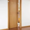 Comfort u0026 Style Haustierzubehör|Reinigungswerkzeuge Für Haustiere-Automatischer Haustiertüröffner – Bequemer und sicherer Zugang für Haustiere