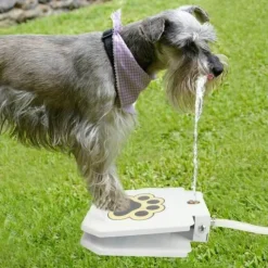 Furry Haven Haustierzubehör|Reinigungswerkzeuge Für Haustiere-Automatischer Hundetrinkbrunnen - Trinkspender für Haustiere