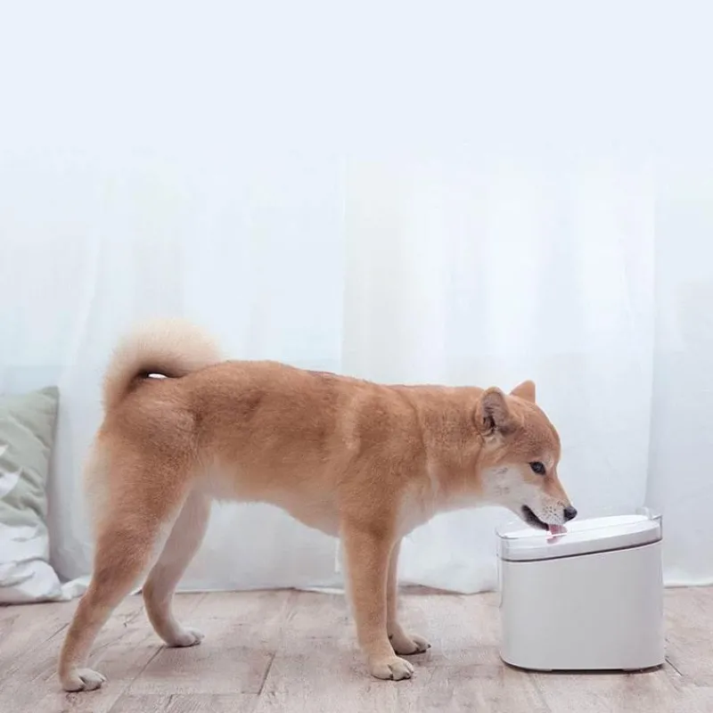 Furry Haven Haustierzubehör|Tierfütterung-Automatischer Wasserspender für Haustiere – Intelligentes Bewässerungssystem für Haustiere