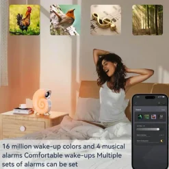 Bright Accents Beleuchtung-Conch Shell Tischlampe - Küsten-Strandhausbeleuchtung