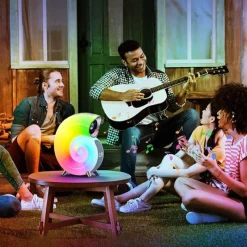 Bright Accents Beleuchtung-Conch Shell Tischlampe - Küsten-Strandhausbeleuchtung