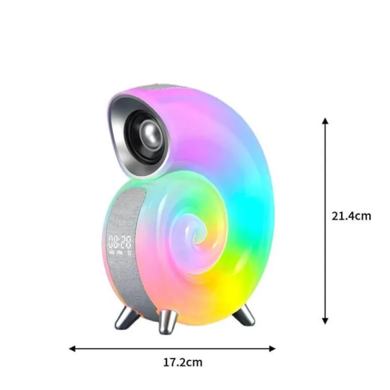 Bright Accents Beleuchtung-Conch Shell Tischlampe - Küsten-Strandhausbeleuchtung