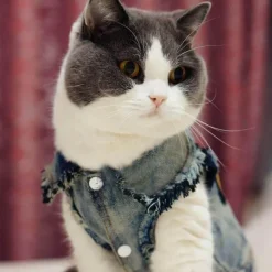 Decor Haustierzubehör-Denim Cowboyjacke für Hunde - Stylischer Western-Haustiermantel