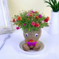 Adventure Basecamp Camping Im Freien|Outdoor-Artikel-DIY Pflanzbare Puppe – Umweltfreundliches Pflanzenkopf-Spielzeug