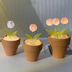 Willow u0026 Whim Beleuchtung-DIY Rose Glow Nachtlampe - Kreativer Wohndekor-Akzent