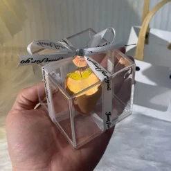 Willow u0026 Whim Beleuchtung-DIY Rose Glow Nachtlampe - Kreativer Wohndekor-Akzent