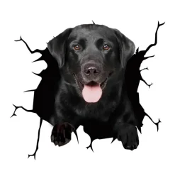 Wild u0026 Free Gear Autozubehör|Automobilindustrie-3D-Welpen-Auto-Kratzschutz-Aufkleber – süße Fahrzeugdekoration