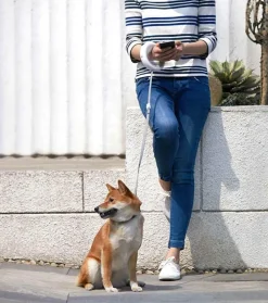 Decor Haustierzubehör-Einziehbare, wiederaufladbare LED-Hundeleine – beleuchtete Haustierleine