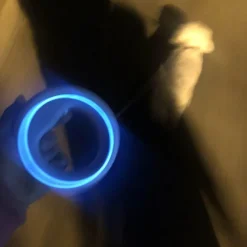 Decor Haustierzubehör-Einziehbare, wiederaufladbare LED-Hundeleine – beleuchtete Haustierleine