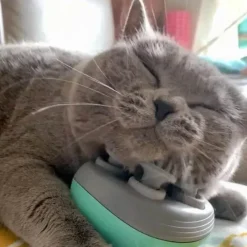 Furendo Haustierzubehör|Reinigungswerkzeuge Für Haustiere-Elektrischer Katzenmassager - Entspannendes Katzenmassagegerät