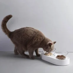 Furendo Haustierzubehör|Reinigungswerkzeuge Für Haustiere-Erhöhter Futternapf für Haustiere – Verstellbare Hunde- und Katzennäpfe