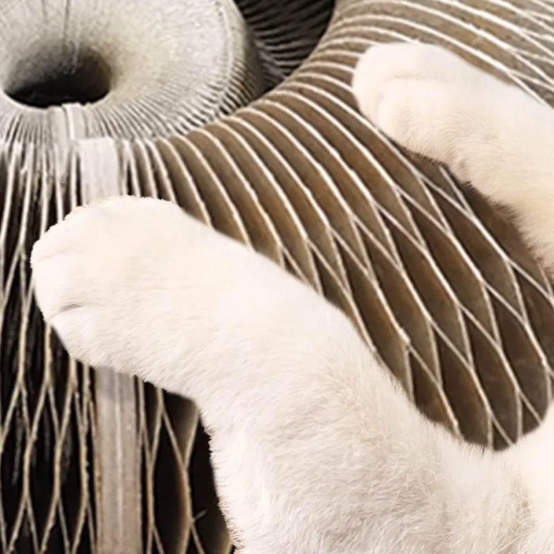 TailTrend Haustierzubehör|Haustierspielzeug-Faltbares Katzenkratzbrett – Magisches Haustier-Spielzubehör