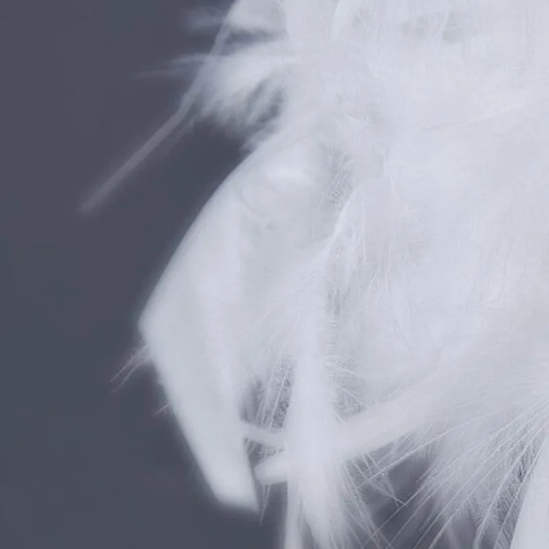 The Light Loft Beleuchtung-Feder-Tischlampe – Elegante Wohnbeleuchtung