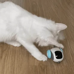 TailTrend Haustierspielzeug-Ferngesteuertes Katzenspielzeug, das der Schwerkraft trotzt – Spannender Spielspaß für Haustiere