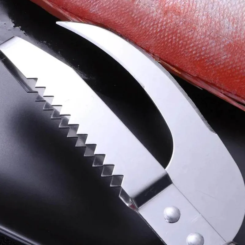 Tom Küche & Esszimmer-Fischschuppenschaber aus Edelstahl – Meeresfrüchte-Schälwerkzeug