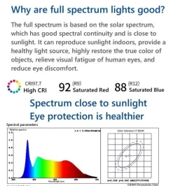 Glow u0026 Shade Beleuchtung-Florale Tischlampe - Elegantes romantisches Nachtlicht