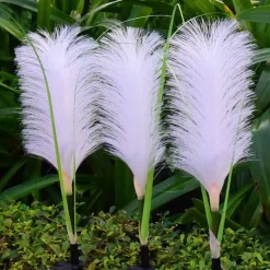 Bright Accents Beleuchtung-Gartenlaterne aus Schilf – Solar-Dekoleuchte für den Außenbereich