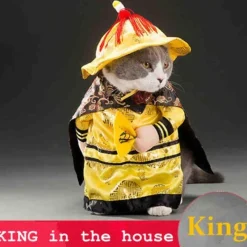 Decor Haustierzubehör-Golden King Hundekostüm - Fantasy Haustier Cosplay Outfit