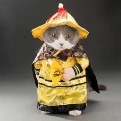 Decor Haustierzubehör-Golden King Hundekostüm - Fantasy Haustier Cosplay Outfit