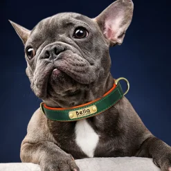 Furendo Reinigungswerkzeuge Für Haustiere|Haustierzubehör-GPS-Haustier-Tracker – Verstellbares Smart-Halsband für Hunde und Katzen