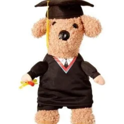 Decor Haustierzubehör-Haustier-Professor-Kostüm – Süßes Tierlehrer-Outfit