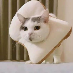 TailTrend Haustierzubehör|Haustierspielzeug-Heilendes Haustierhalsband – Weicher Genesungskegel für Hunde und Katzen