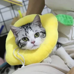 TailTrend Haustierzubehör|Haustierspielzeug-Heilendes Haustierhalsband – Weicher Genesungskegel für Hunde und Katzen