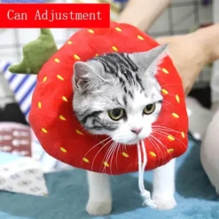 TailTrend Haustierzubehör|Haustierspielzeug-Heilendes Haustierhalsband – Weicher Genesungskegel für Hunde und Katzen