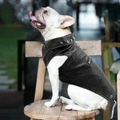 Decor Haustierzubehör-Hundemantel aus Leder – Stilvolle Haustierjacke