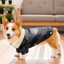 Decor Haustierzubehör-Hundemantel aus Leder – Stilvolle Haustierjacke