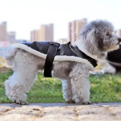Decor Haustierzubehör-Hundemantel aus Leder – Stilvolle Haustierjacke