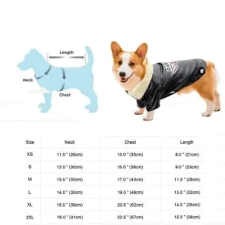 Decor Haustierzubehör-Hundemantel aus Leder – Stilvolle Haustierjacke
