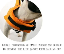 Decor Haustierzubehör-Hundeschwimmweste - Hai-Schwimmweste für Haustiere