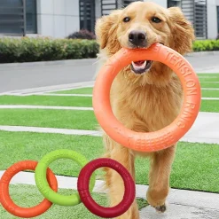 TailTrend Haustierzubehör|Reinigungswerkzeuge Für Haustiere-Interaktive Hunde-Frisbee - Lustiges Outdoor-Spielzeug für Haustiere
