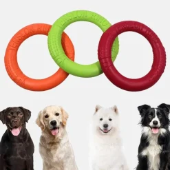 TailTrend Haustierzubehör|Reinigungswerkzeuge Für Haustiere-Interaktive Hunde-Frisbee - Lustiges Outdoor-Spielzeug für Haustiere