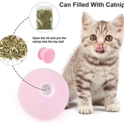 TailTrend Haustierzubehör|Haustierspielzeug-Interaktiver Soundball für das Hundetraining – spannendes Haustierspielzeug