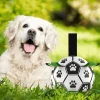 TailTrend Haustierzubehör|Haustierspielzeug-Interaktiver Trainingsball für Haustiere – Intelligentes Hundespielzeug für Katzen und Hunde