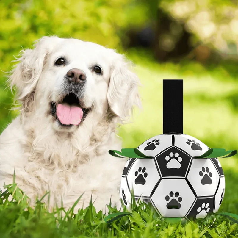 TailTrend Haustierzubehör|Haustierspielzeug-Interaktiver Trainingsball für Haustiere – Intelligentes Hundespielzeug für Katzen und Hunde
