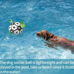 TailTrend Haustierzubehör|Haustierspielzeug-Interaktiver Trainingsball für Haustiere – Intelligentes Hundespielzeug für Katzen und Hunde