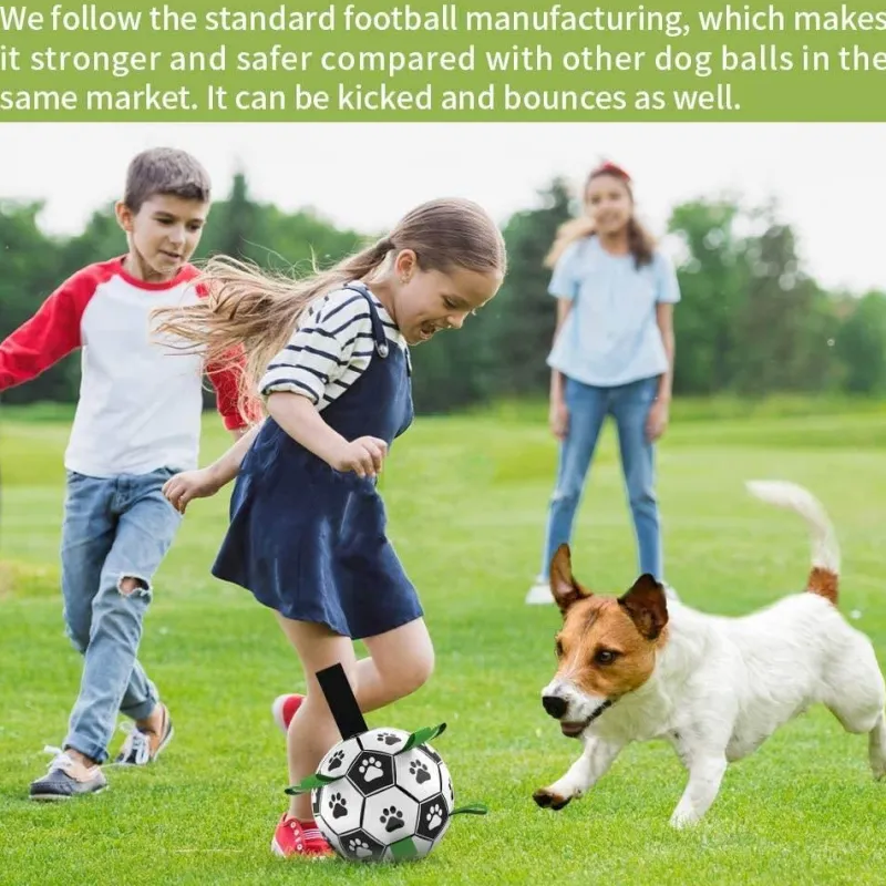 TailTrend Haustierzubehör|Haustierspielzeug-Interaktiver Trainingsball für Haustiere – Intelligentes Hundespielzeug für Katzen und Hunde