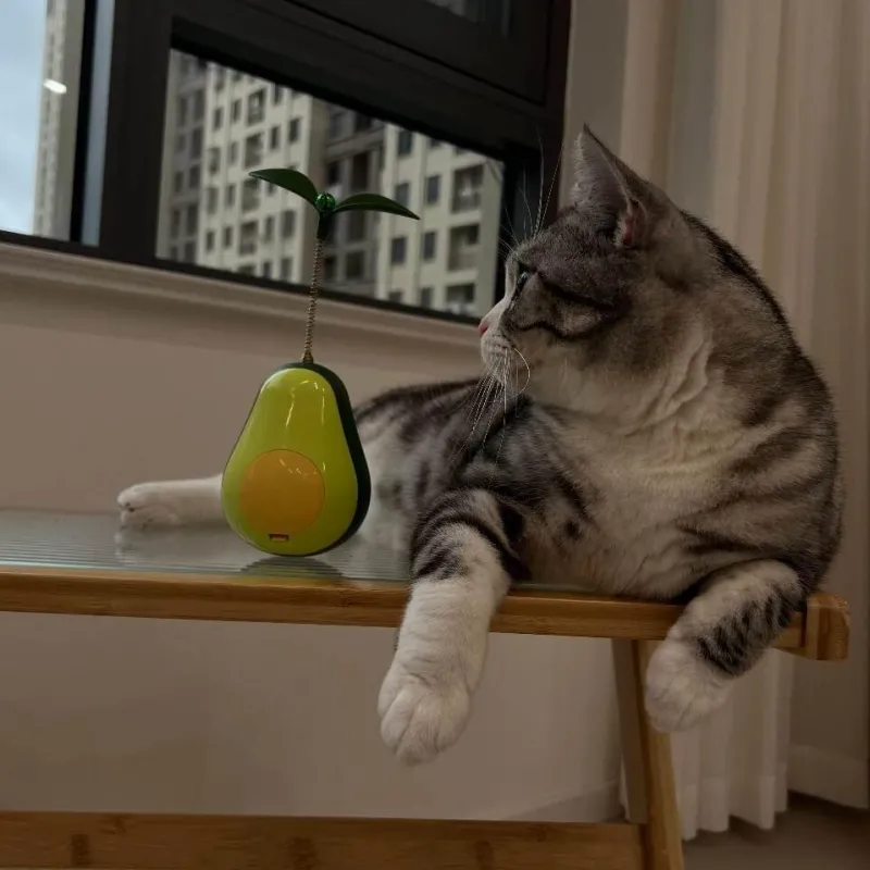 TailTrend Haustierspielzeug-Interaktives Avocado-Wackler-Katzenspielzeug – Spannender 3-in-1-Spaß für Ihren Stubentiger