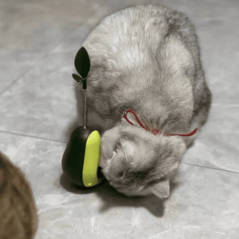 TailTrend Haustierspielzeug-Interaktives Avocado-Wackler-Katzenspielzeug – Spannender 3-in-1-Spaß für Ihren Stubentiger