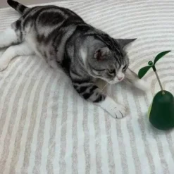 TailTrend Haustierspielzeug-Interaktives Avocado-Wackler-Katzenspielzeug – Spannender 3-in-1-Spaß für Ihren Stubentiger