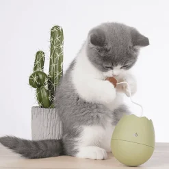 TailTrend Haustierspielzeug-Interaktives Eierschalen-Katzenspielzeug für spannendes Spielen