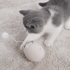 TailTrend Haustierspielzeug-Interaktives Eierschalen-Katzenspielzeug für spannendes Spielen