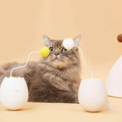 TailTrend Haustierspielzeug-Interaktives Eierschalen-Katzenspielzeug für spannendes Spielen