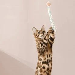 TailTrend Haustierspielzeug-Interaktives einziehbares Katzenspielzeug – spannender Spaß für Ihren Stubentiger