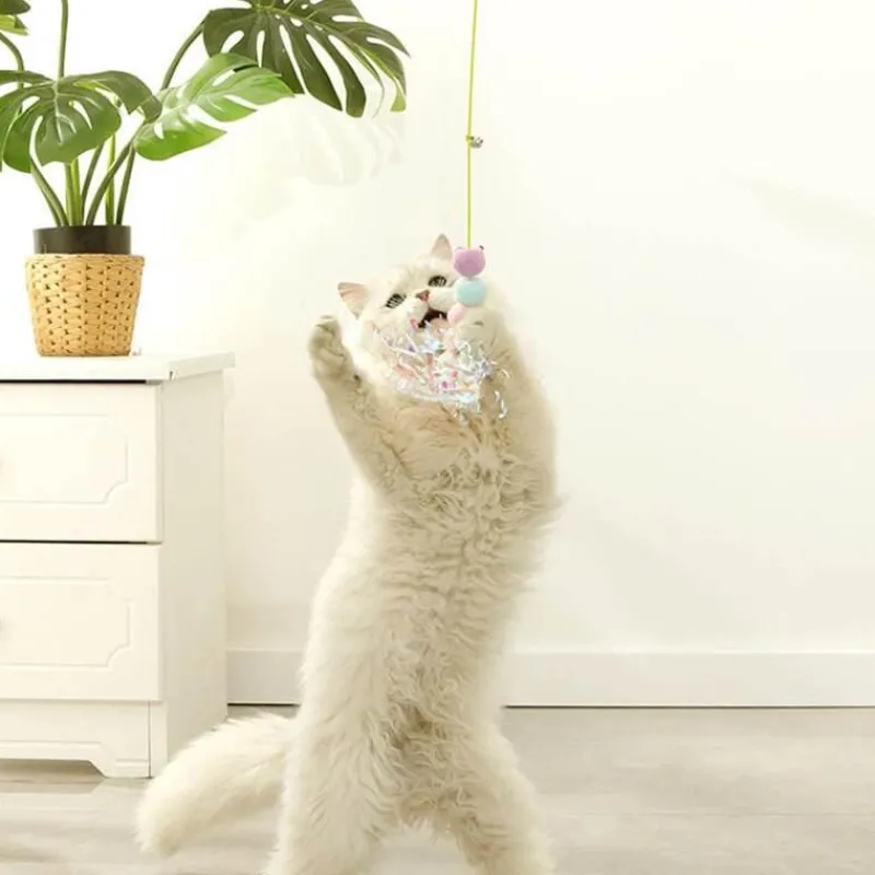 TailTrend Haustierzubehör|Reinigungswerkzeuge Für Haustiere-Interaktives Katzenspielzeug – Lustiges Spielzeug zum Trainieren und Spielen